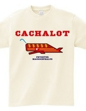 CACHALOT