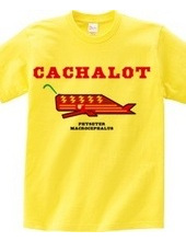 CACHALOT