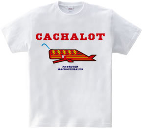 CACHALOT