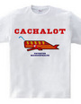 CACHALOT