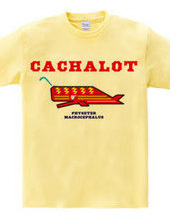 CACHALOT