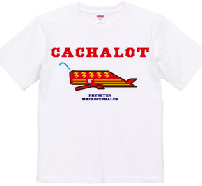 CACHALOT