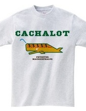 CACHALOT