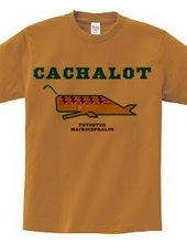 CACHALOT