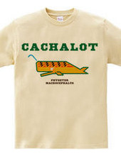 CACHALOT