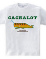 CACHALOT