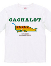 CACHALOT