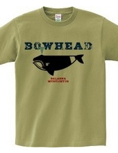 BOWHEAD