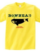 BOWHEAD