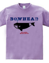 BOWHEAD