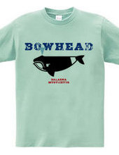 BOWHEAD