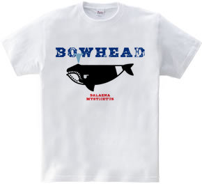 BOWHEAD