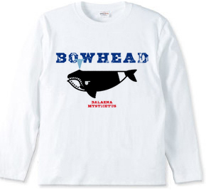 BOWHEAD