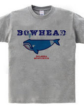 BOWHEAD