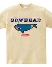 BOWHEAD