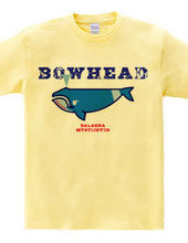 BOWHEAD