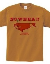 BOWHEAD