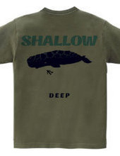 SHALLOW / DEEP