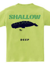 SHALLOW / DEEP