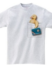 Pocket duck