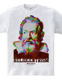 Heliocentrism -galileo galilei-