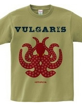 VULGARIS