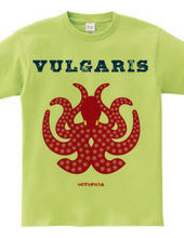 VULGARIS