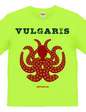 VULGARIS