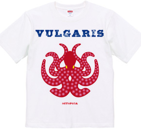 VULGARIS