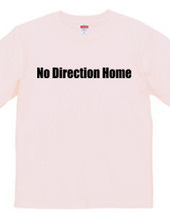 No Direction Home