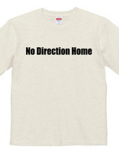 No Direction Home