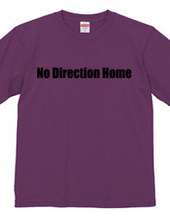 No Direction Home