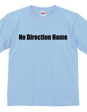 No Direction Home