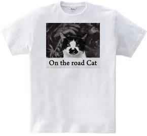 On the road Cat 01