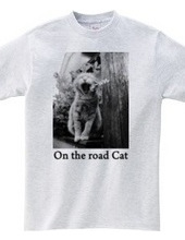 On the road Cat 06