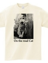 On the road Cat 06