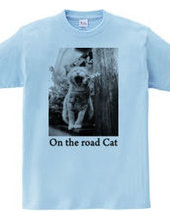 On the road Cat 06