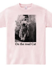 On the road Cat 06