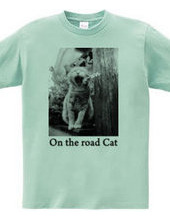 On the road Cat 06