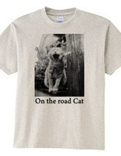 On the road Cat 06