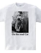 On the road Cat 06