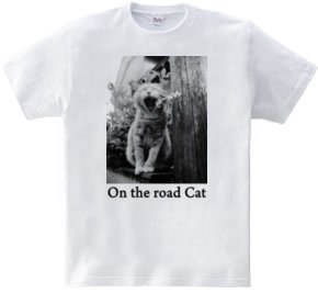 On the road Cat 06