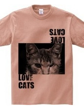 LOVE CATS