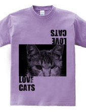 LOVE CATS