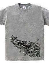 CROCODILE