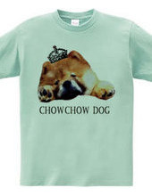 Chow Chow 