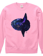 Space Ocean Sunfish