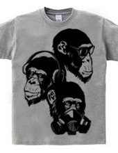 Three fool monkey
