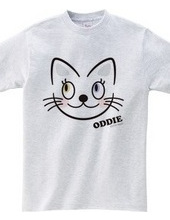 Odd-eyed cat "ODDIE"