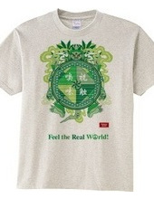 四感 Feel the Real World